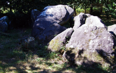 Assemblée Générale 2025